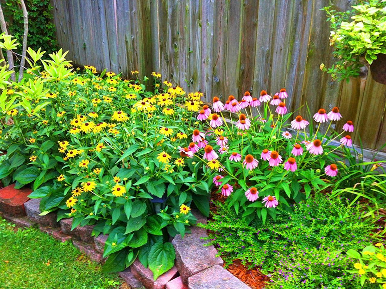 Lyndon House Bed & Breakfast Lexington Dış mekan fotoğraf